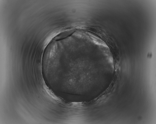 X0000115280052200911201802