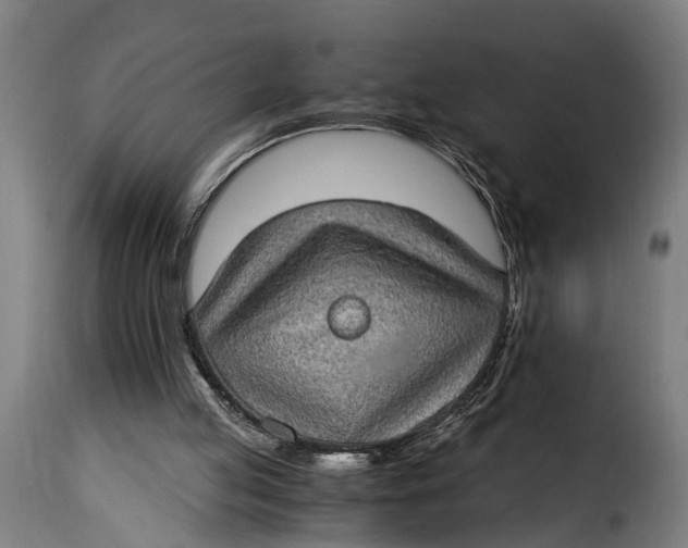 X0000115280053200911201802