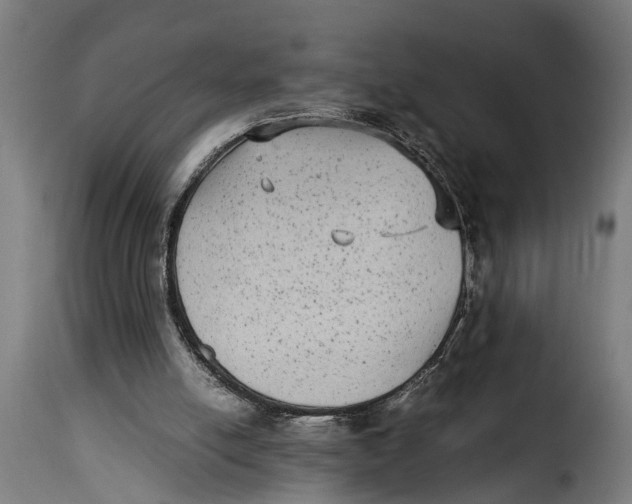 X0000115280054200911201802