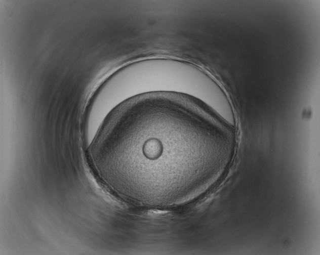 X0000115280055200911201802