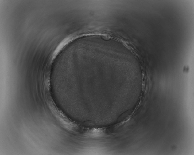 X0000115280056200911201802