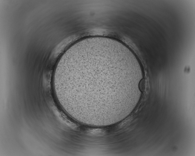 X0000115280058200911201802