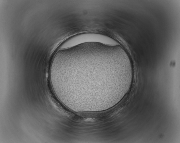 X0000115280059200911201802