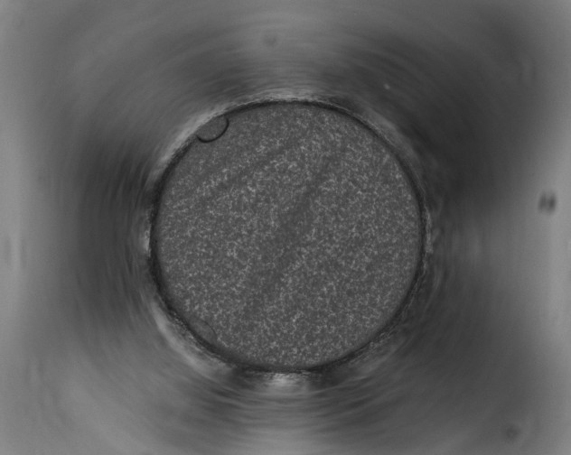 X0000115280060200911201802