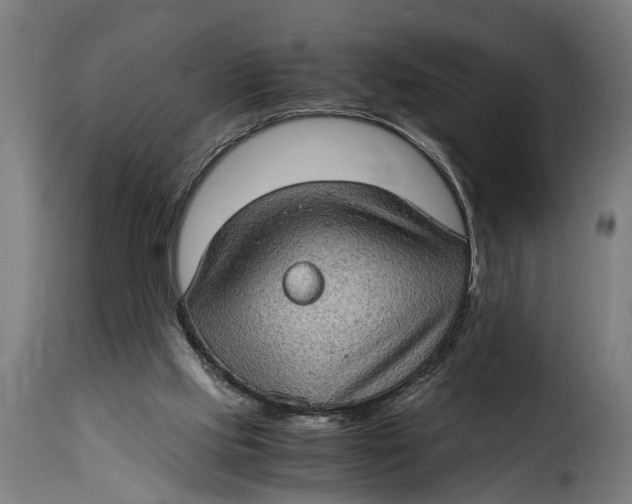 X0000115280061200911201802