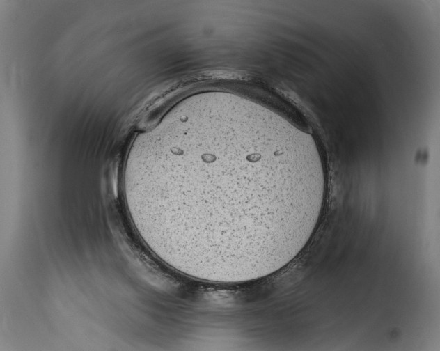 X0000115280062200911201802