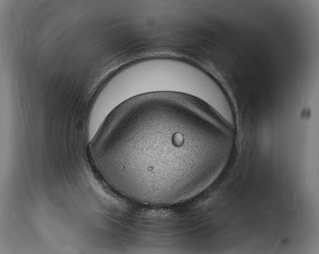 X0000115280063200911201802