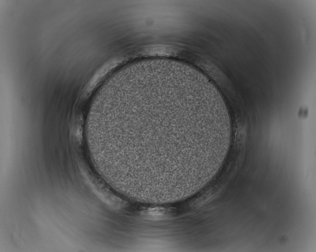 X0000115280064200911201802