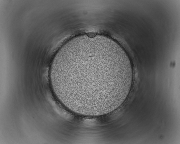 X0000115280066200911201802