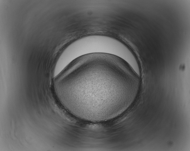 X0000115280067200911201802