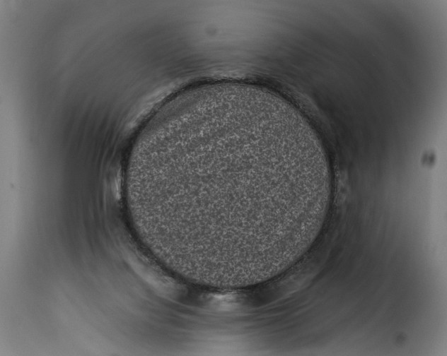 X0000115280068200911201802