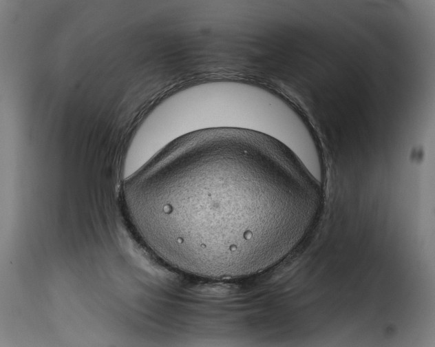 X0000115280069200911201802