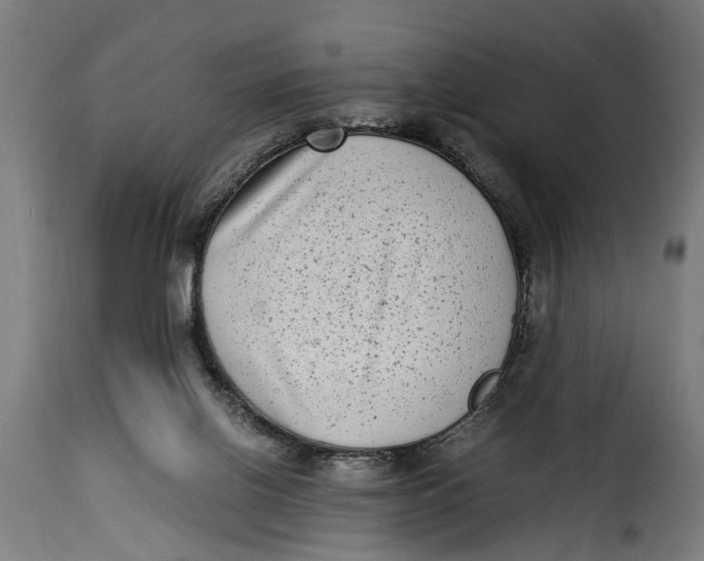 X0000115280070200911201802