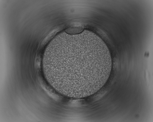 X0000115280072200911201802