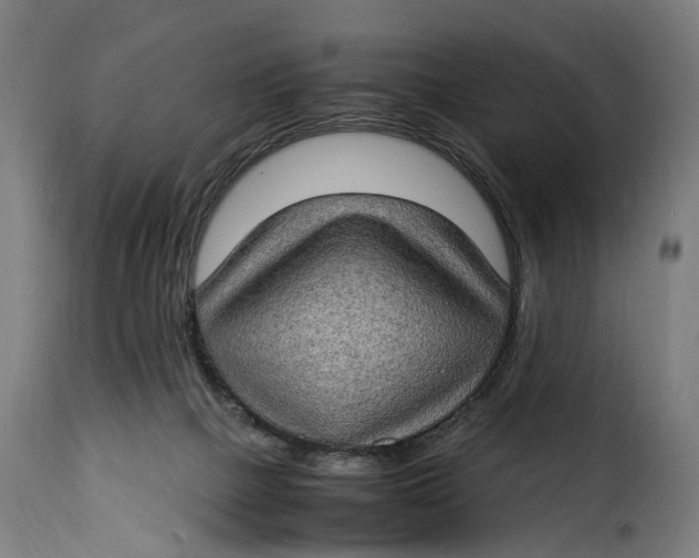 X0000115280073200911201802