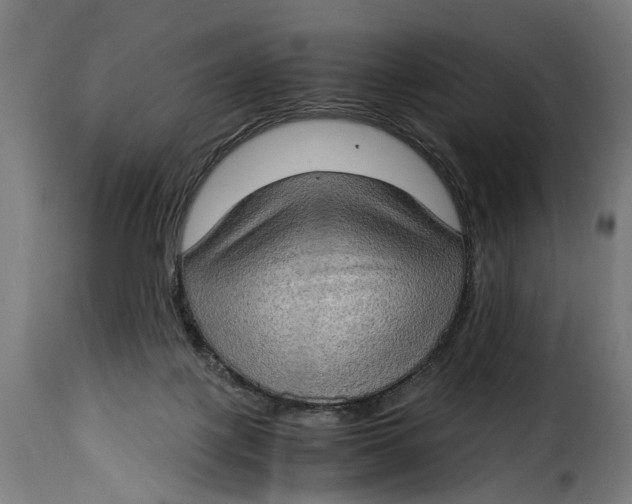 X0000115280075200911201802