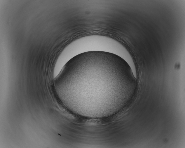 X0000115280077200911201802