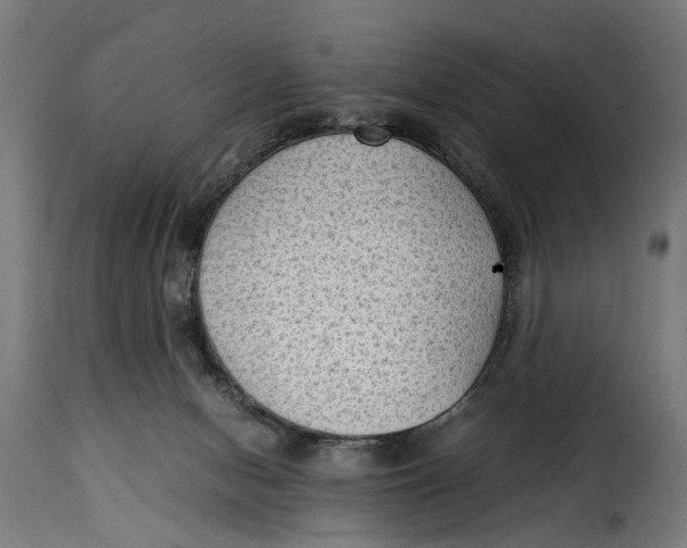 X0000115280078200911201802