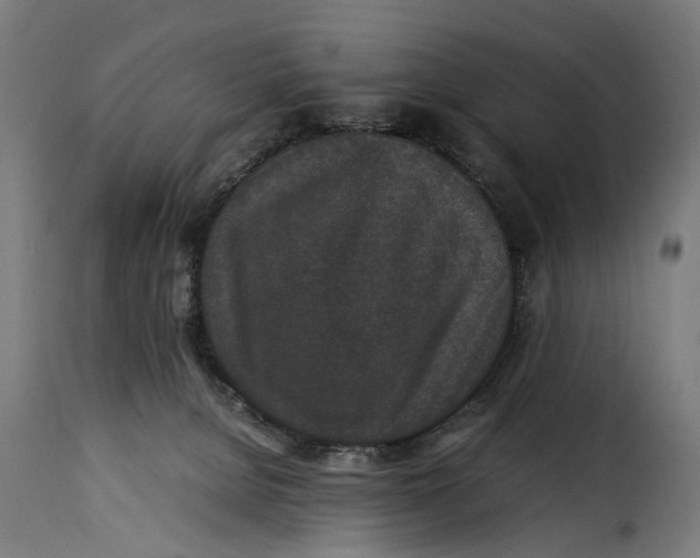 X0000115280080200911201802