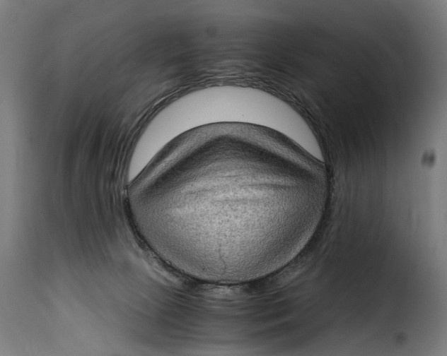 X0000115280081200911201802