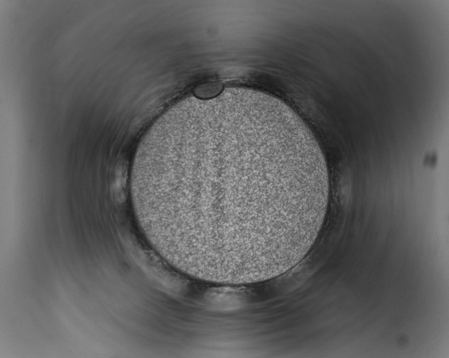 X0000115280082200911201802