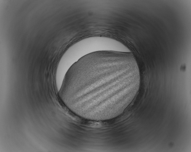 X0000115280083200911201802