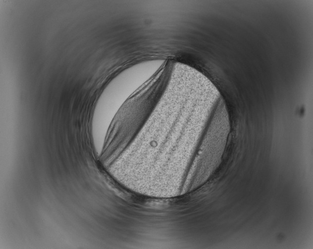 X0000115280084200911201802