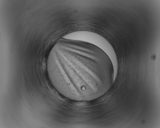 X0000115280085200911201802