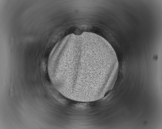 X0000115280086200911201802