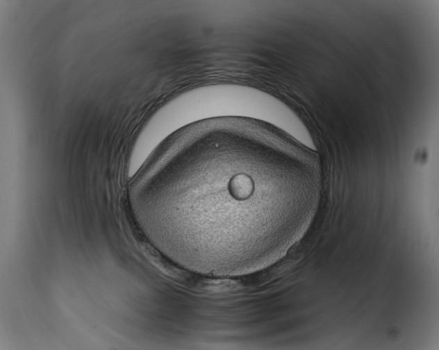 X0000115280087200911201802