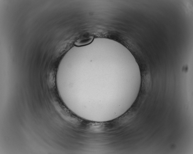 X0000115280088200911201802