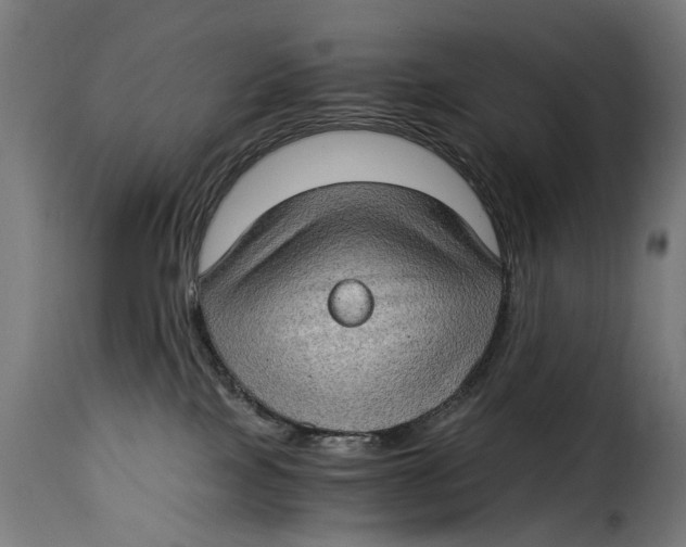 X0000115280089200911201802