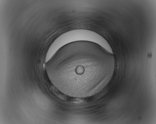 X0000115280095200911201802