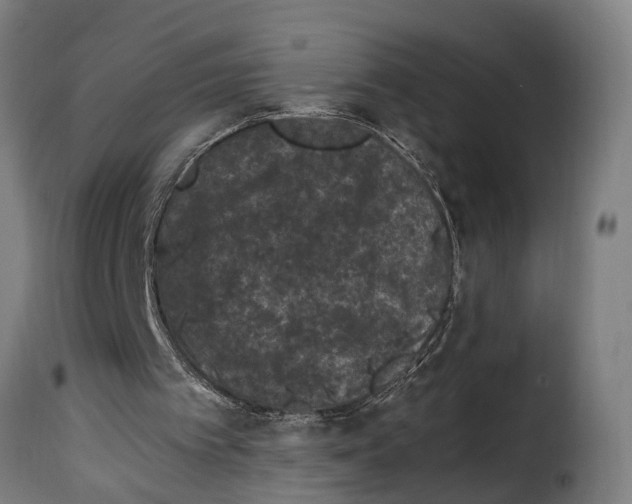 X0000115280097200911201802