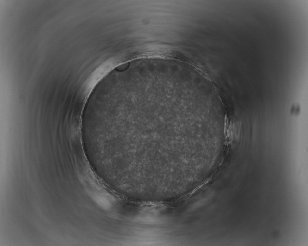 X0000115280099200911201802