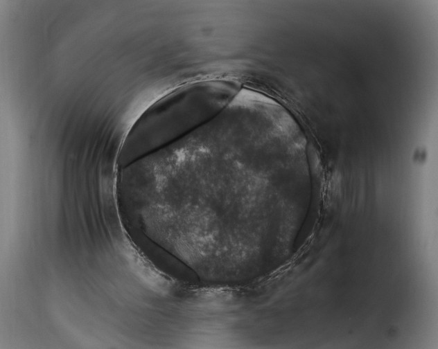 X0000115280100200911201802