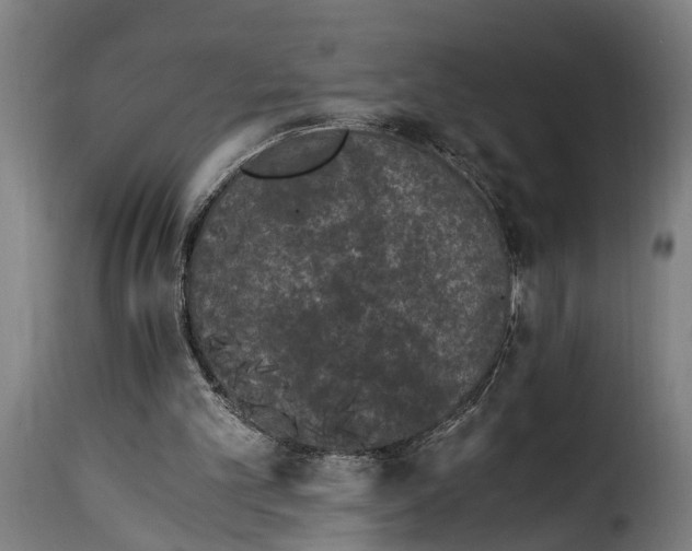 X0000115280101200911201802