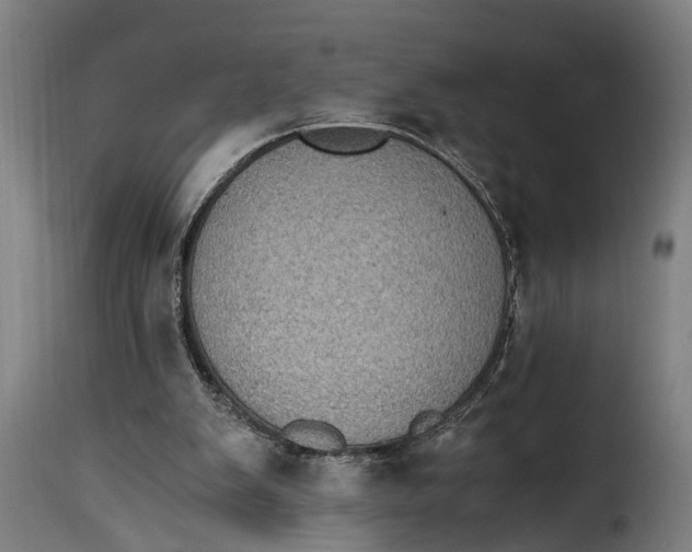 X0000115280103200911201801