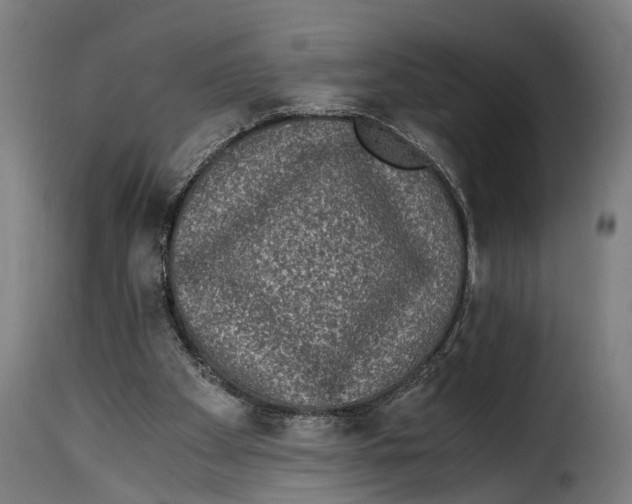 X0000115280105200911201801