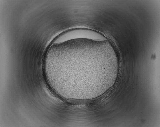 X0000115280108200911201801