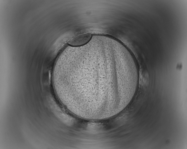 X0000115280109200911201801