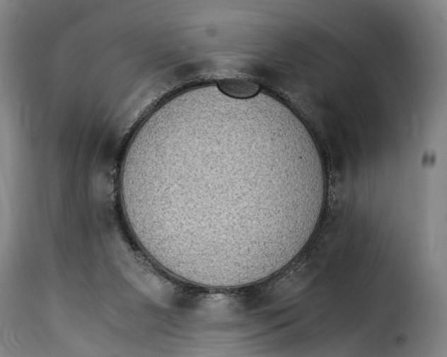 X0000115280111200911201801