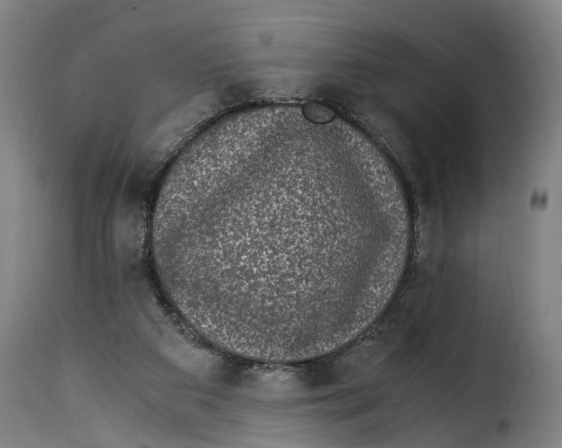 X0000115280113200911201801