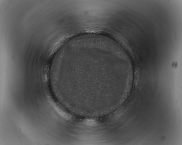 X0000115280114200911201801