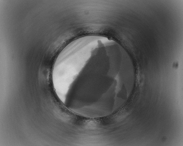 X0000115280115200911201801