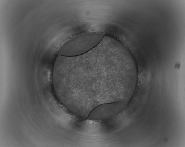 X0000115280117200911201801