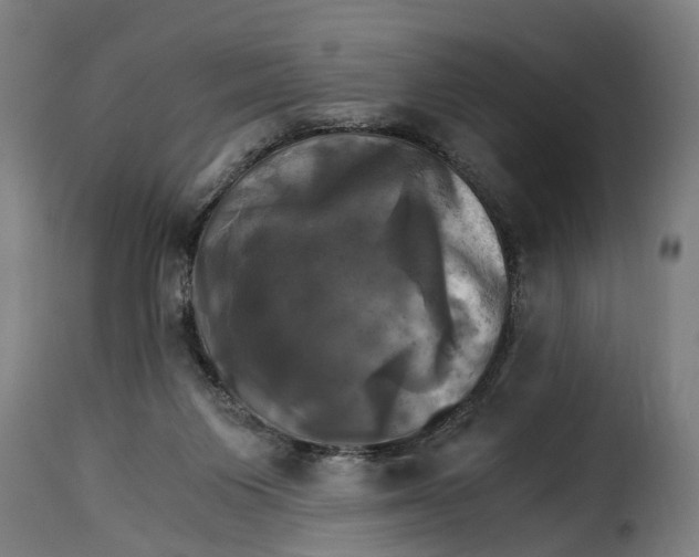 X0000115280119200911201801