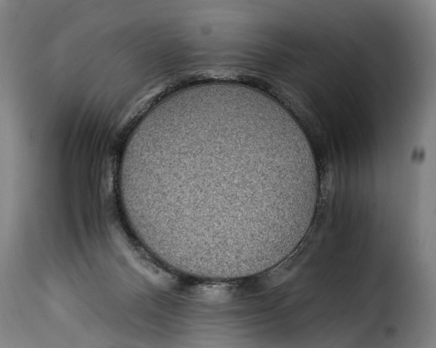 X0000115280120200911201801