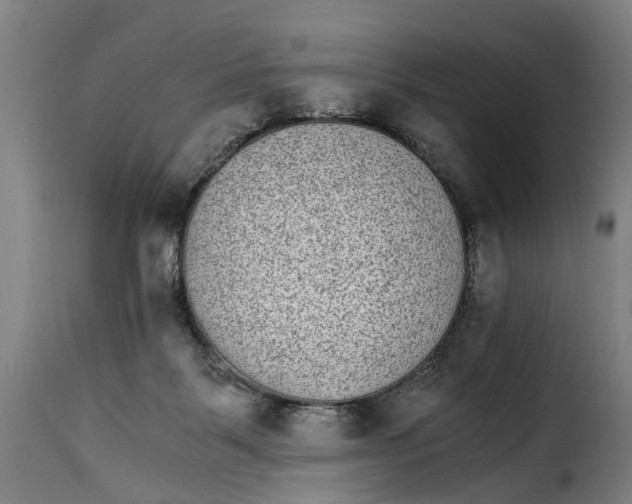 X0000115280123200911201801