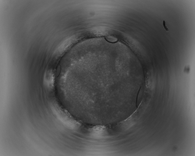 X0000115280124200911201801